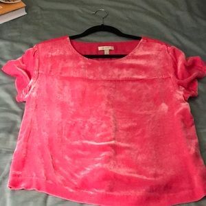 J. Crew Velvet Tee